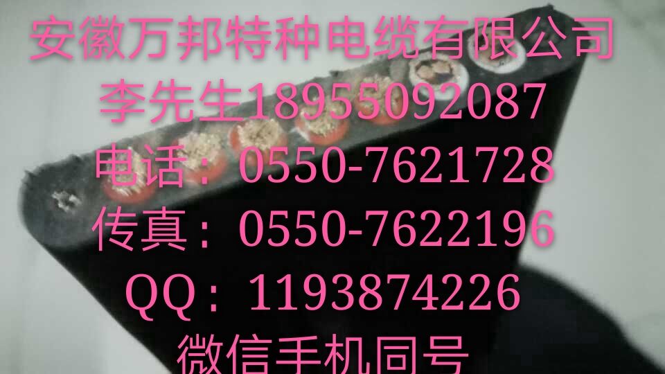 YDGR YFFB YVFR YVFB行车扁电缆2/3/4/5/6/7/8/9/10*1.5
