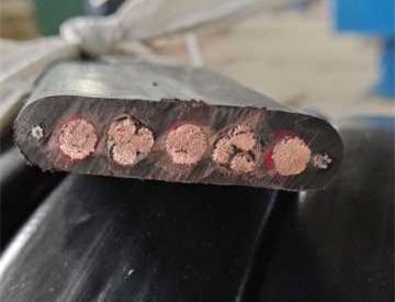 15914317308724.jpg 124a4c8b06bec43eac5db29d02ce54f_副本.jpg