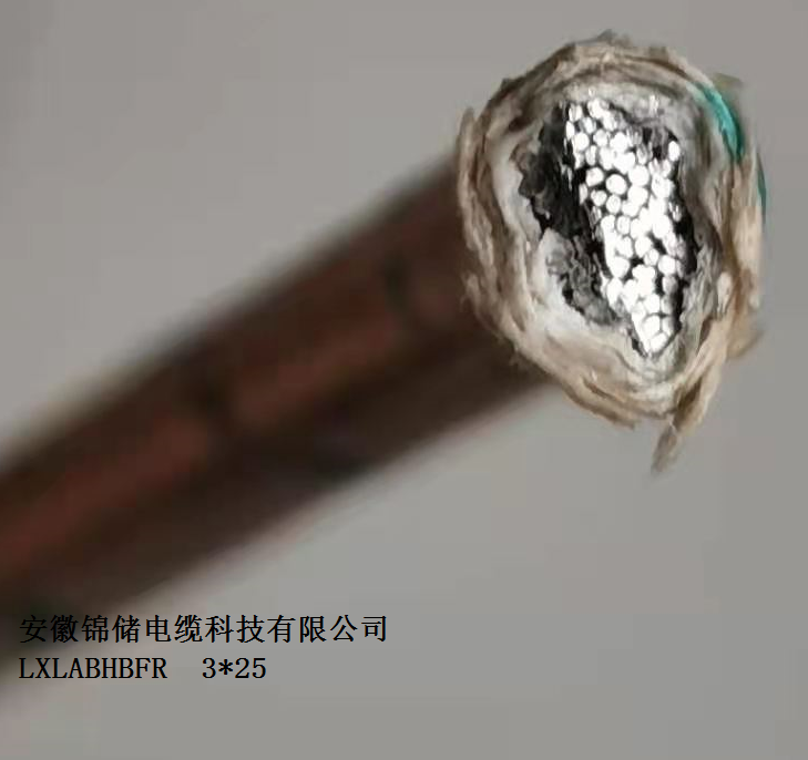 16263969336995.png 6ee1b26ae0aa2ddafa1302d8edbbfb0.png