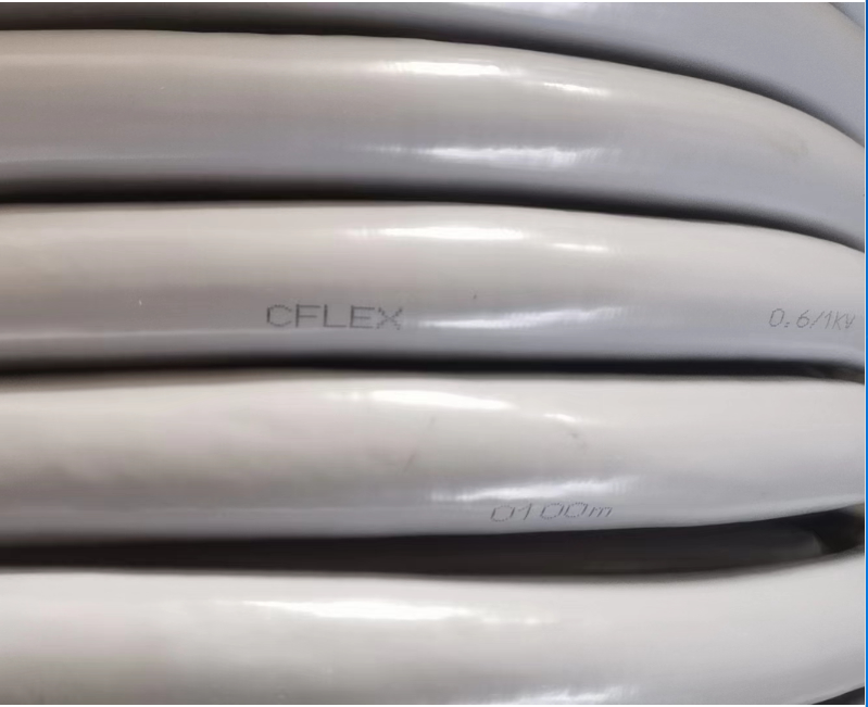 17018549741346.png 1701745304966.png