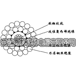 WGSB-3.50mm单芯改性聚丙烯绝缘双钢丝铠装承荷探测电缆