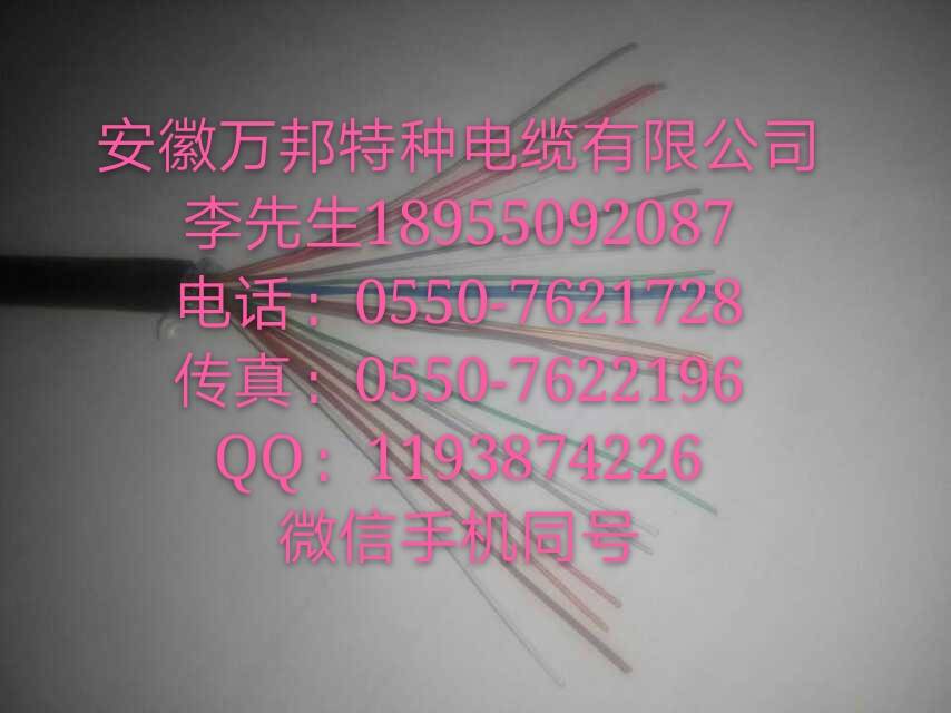 安徽万邦，RS485专用电缆RS485-2*2*0.25